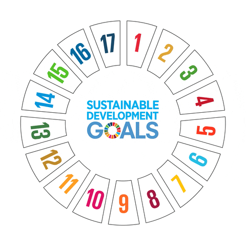 17 sdgs moving 17 SDGs